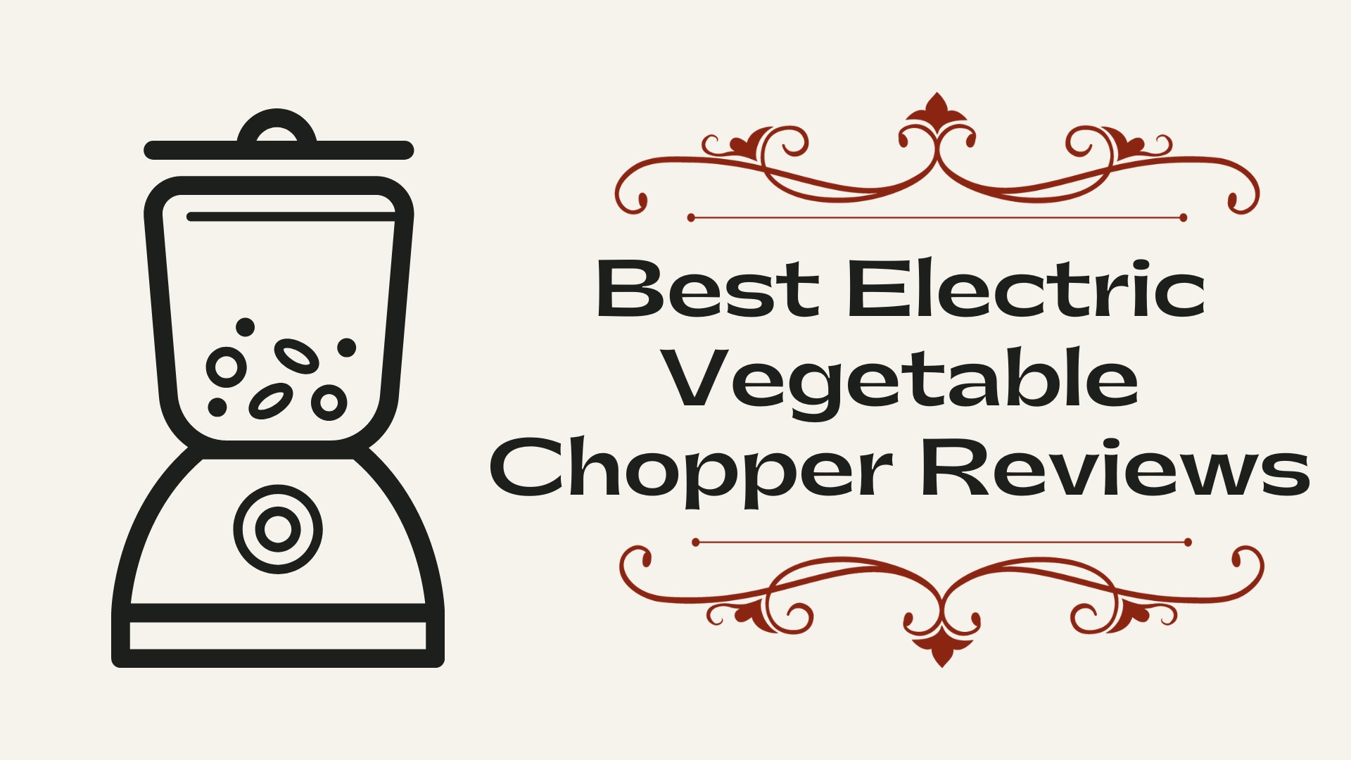 Best Electric Vegetable Chopper Reviews