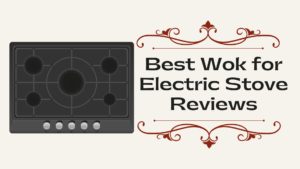 Best Wok for Electric Stove Reviews