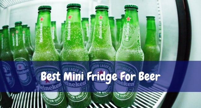 Best Mini Fridge For Beer