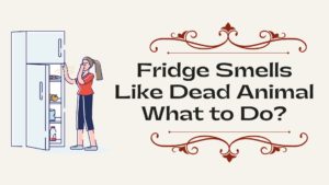 Fridge Smells Like Dead Animal What to Do?