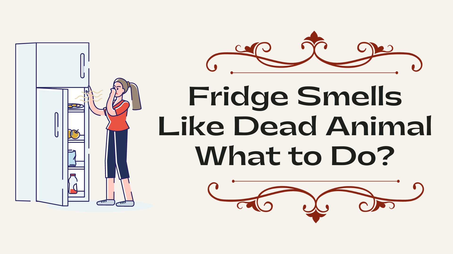 Fridge Smells Like Dead Animal What to Do?