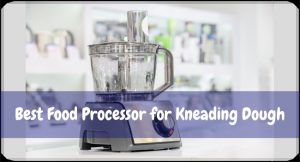 Best Food Processor for Kneading Dough