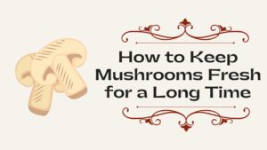 How to Keep Mushrooms Fresh for a Long Time